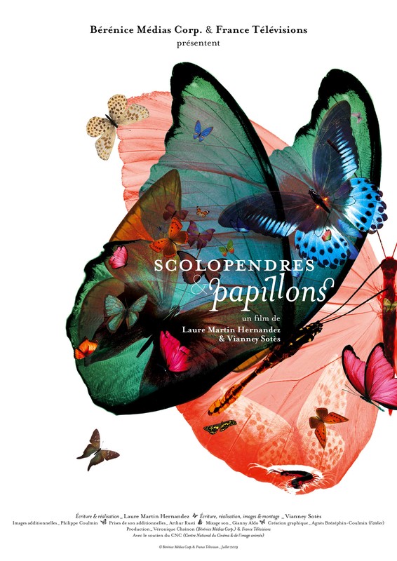Affiche Scolopendres et papillons