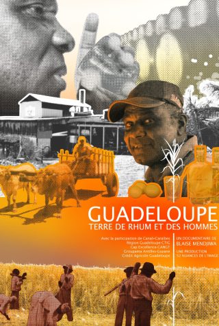 Affiche Rhum Guadeloupe